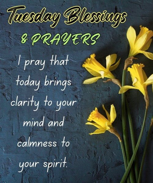 Tuesday-blessings-4