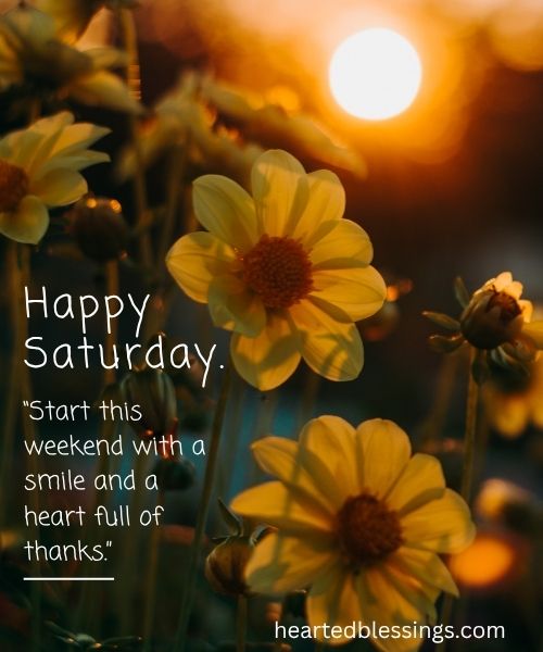 Happy-Saturday